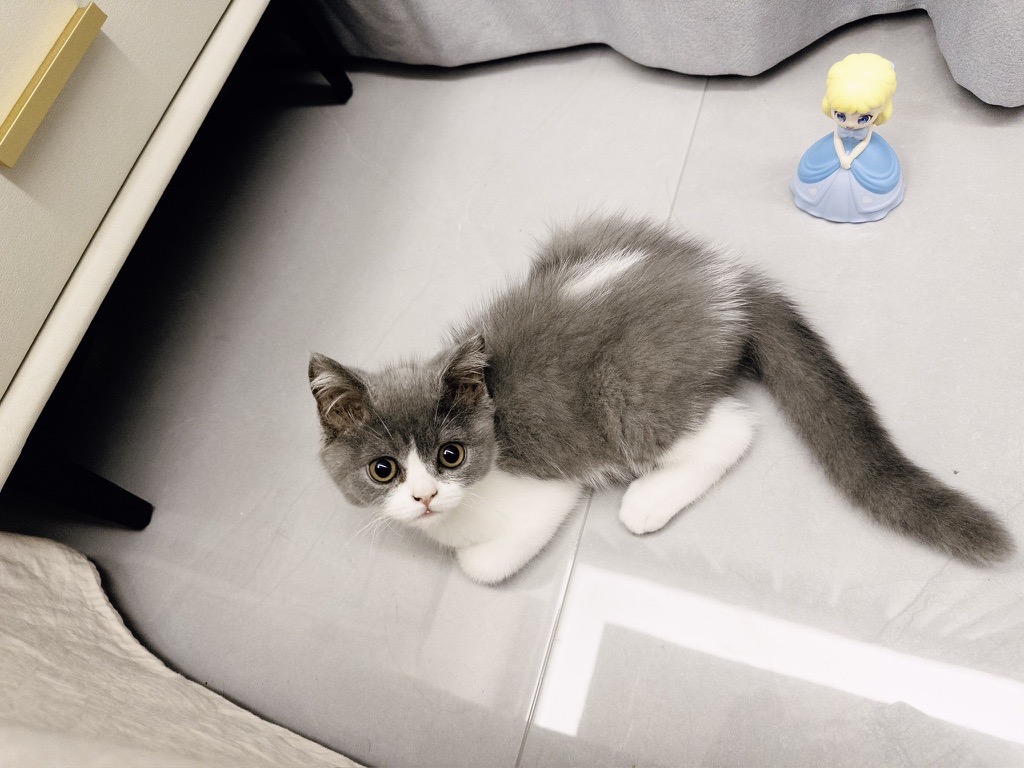 8396BD5B-0D16-4ACB-B90B-50B492EC287E